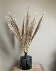 Dried Pampas Grass (10 stems)