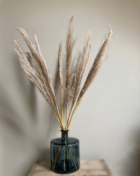 Dried Pampas Grass (10 stems)