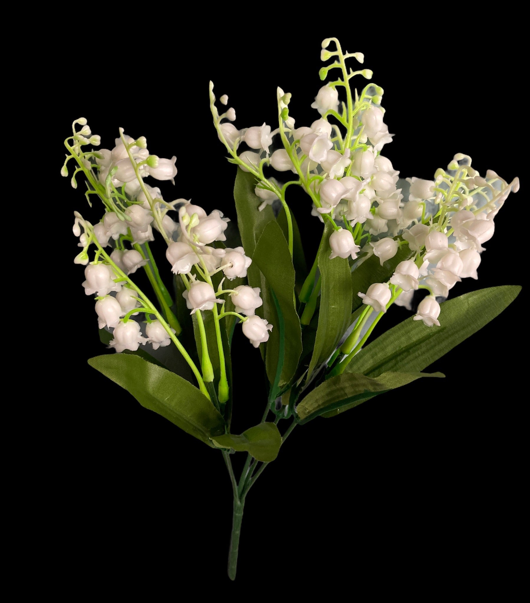 Lily of the Valley Bunch